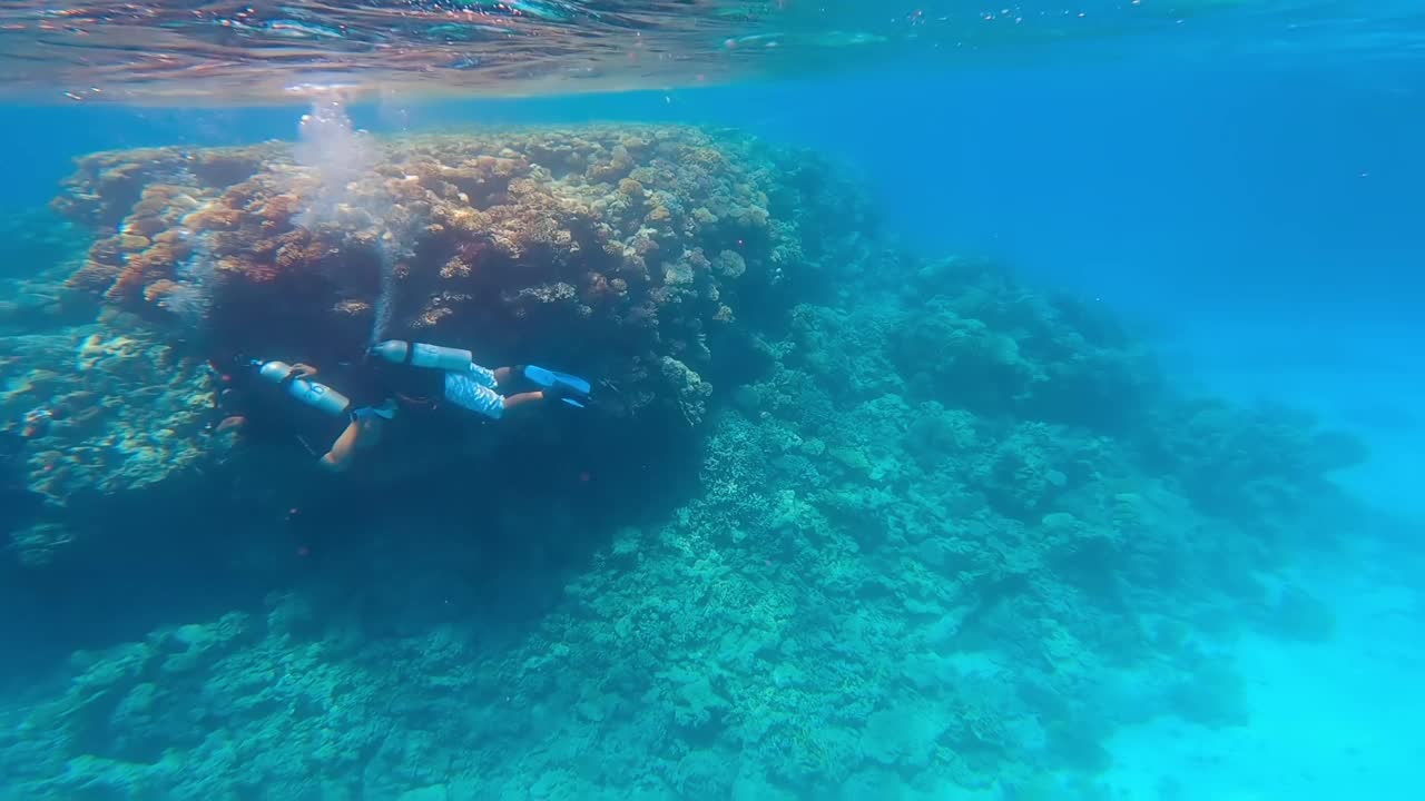 沙姆沙伊赫红海潜水之旅中的潜水员。视频素材