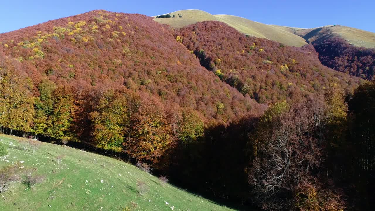 在意大利中部(拉齐奥地区)的蒙特特米里洛山毛榉森林上空的秋天航拍。视频素材