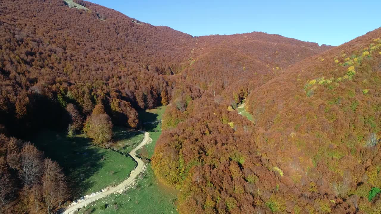 在意大利中部(拉齐奥地区)的蒙特特米里洛山毛榉森林上空的秋天航拍。视频素材