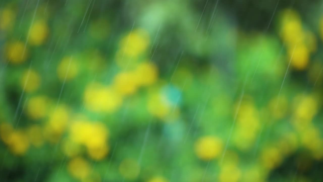 雨落水落自然背景视频素材