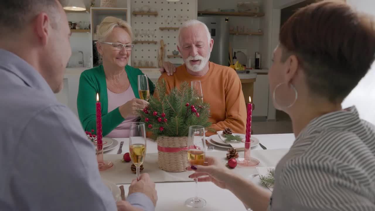 老夫妇坐在精心装饰的桌子上，与家人或朋友一起吃圣诞晚餐，并祝酒，举起酒杯视频素材