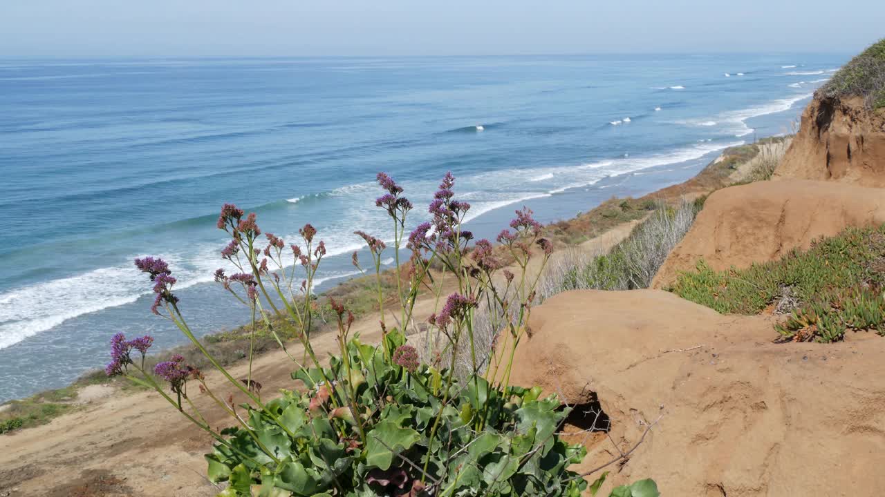 海景点，德尔马托里松，美国加利福尼亚海岸。大海涨潮，碧波远眺视频素材