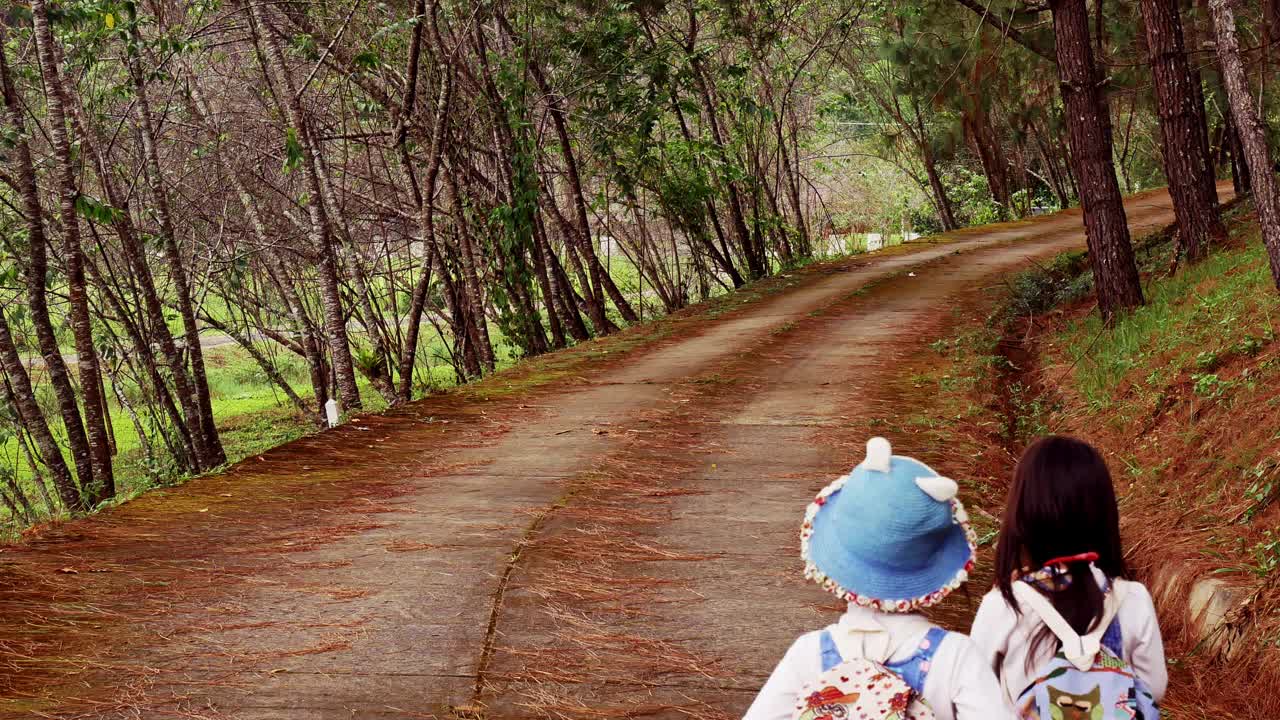 阳光明媚的日子里，两个小妹妹手牵着手沿着松林路向前奔跑。视频素材