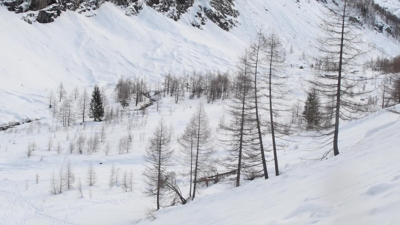 风景，雪，木材，树木，森林，阿尔卑斯山，视频素材