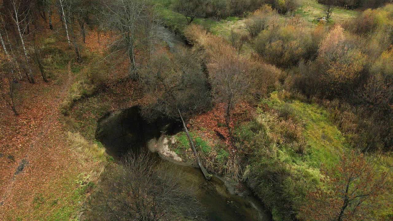 飞越秋天的公园。把公园建在河边。秋叶黄黄的树木随处可见。航空摄影。视频素材