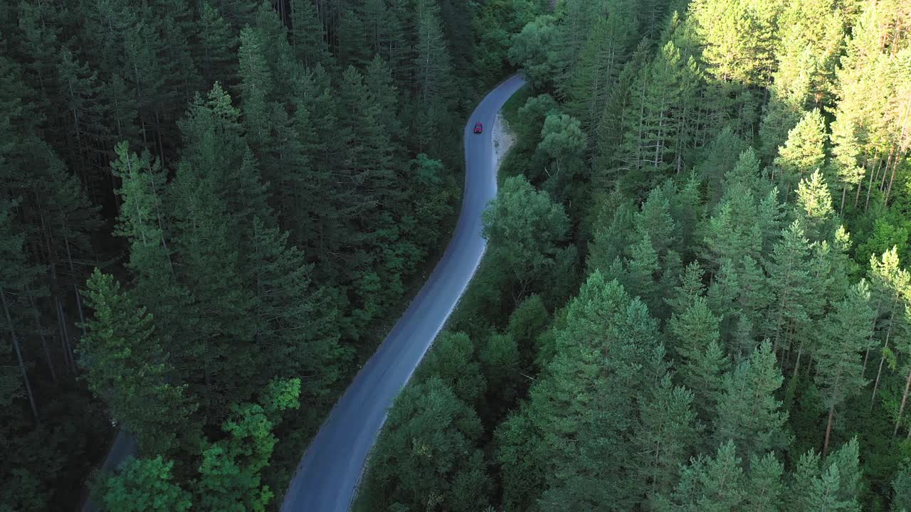 穿越森林的公路旅行视频素材