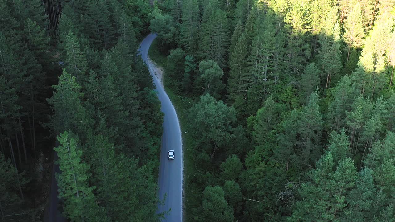 穿越森林的公路旅行视频素材