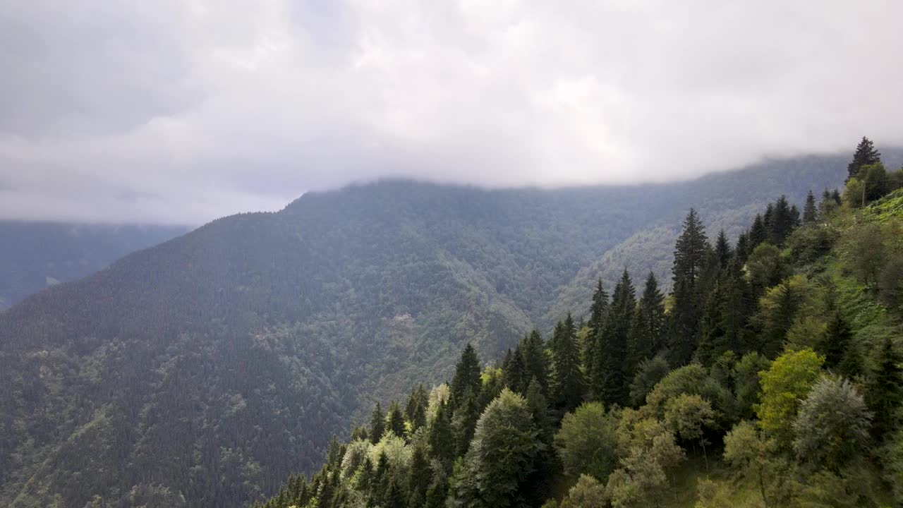 土耳其东部黑海地区绿色山脉的无人机视频视频下载