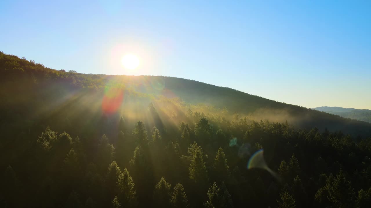 在温暖的夏季日出时，明亮雾蒙蒙的早晨在黑暗的森林树木上的鸟瞰图。黎明时分野生林地的美丽景色。视频素材