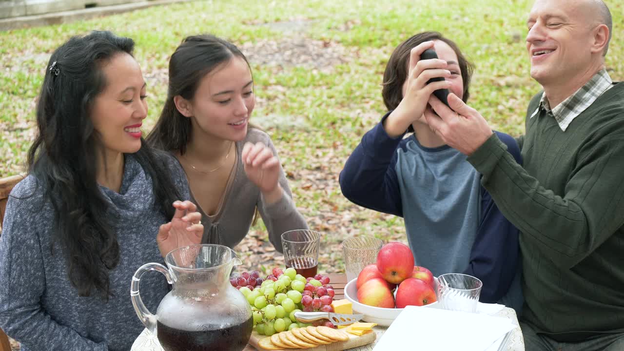 一家人在野餐，儿子在他的智能手机上分享一些东西视频素材