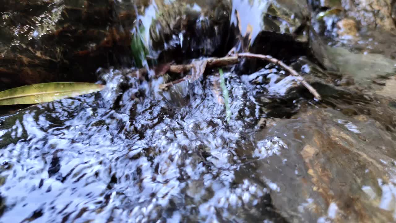 自然河流瀑布森林，水流过石头视频素材