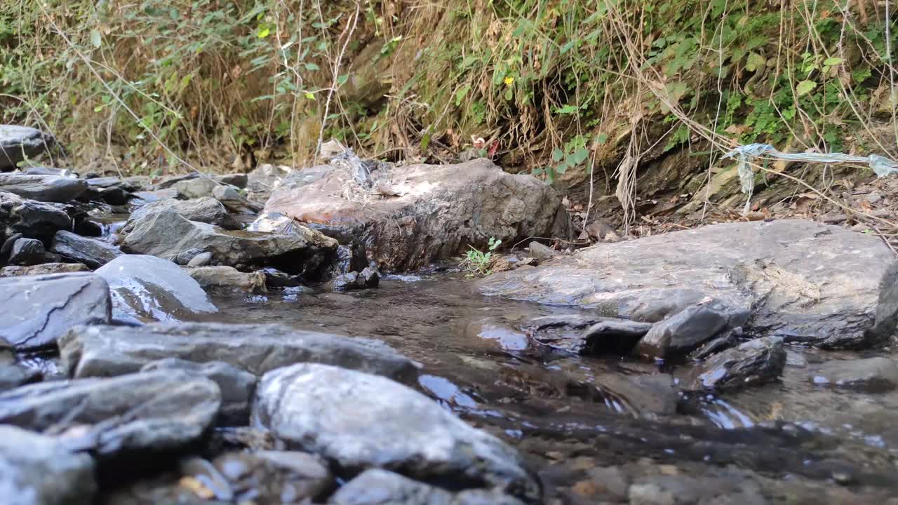 自然河流瀑布森林，水流过石头视频素材