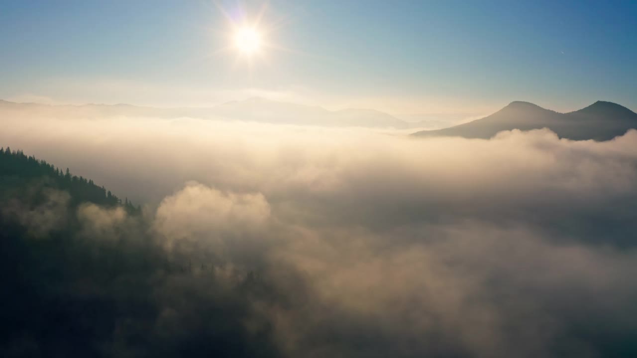 雾森林山早晨自然美丽的太阳视频素材