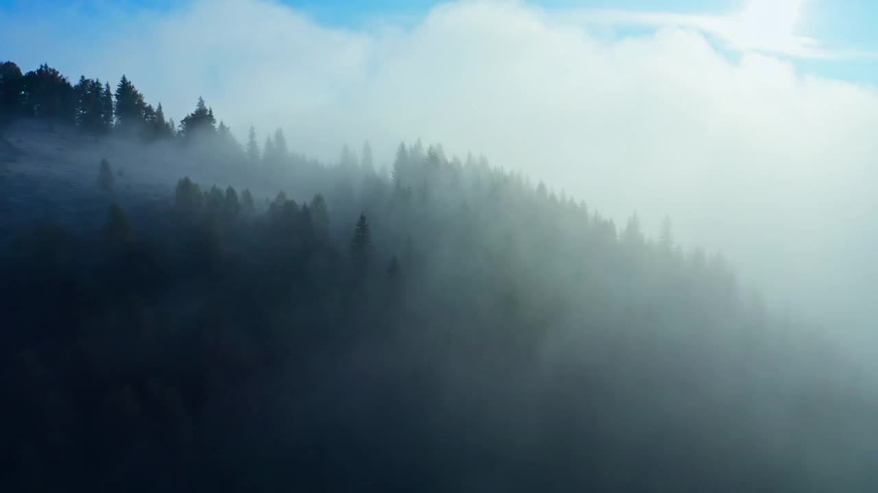 雾森林山早晨自然美丽的太阳视频素材