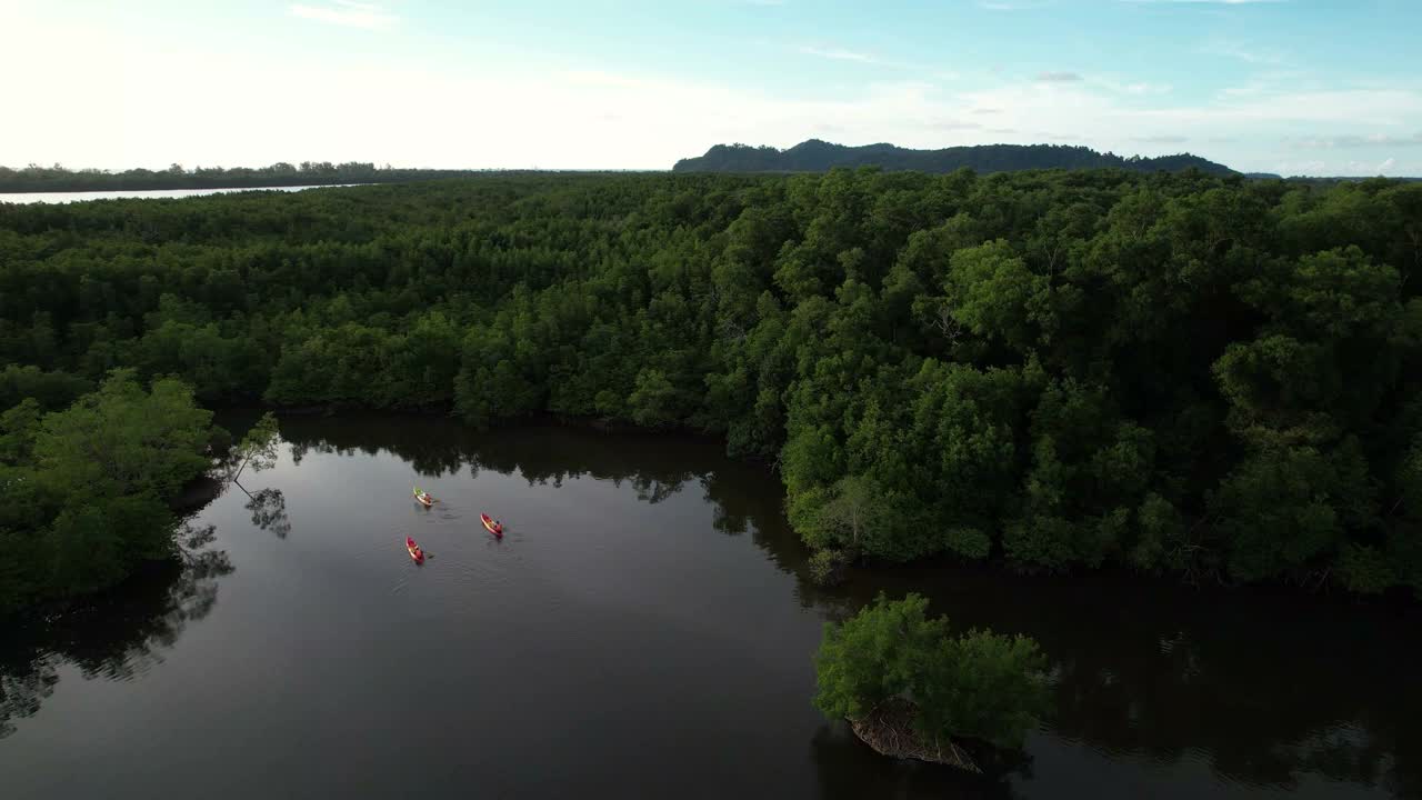 鸟瞰图的独木舟巡航通过河流和热带森林与日落天空的倒影在水视频素材