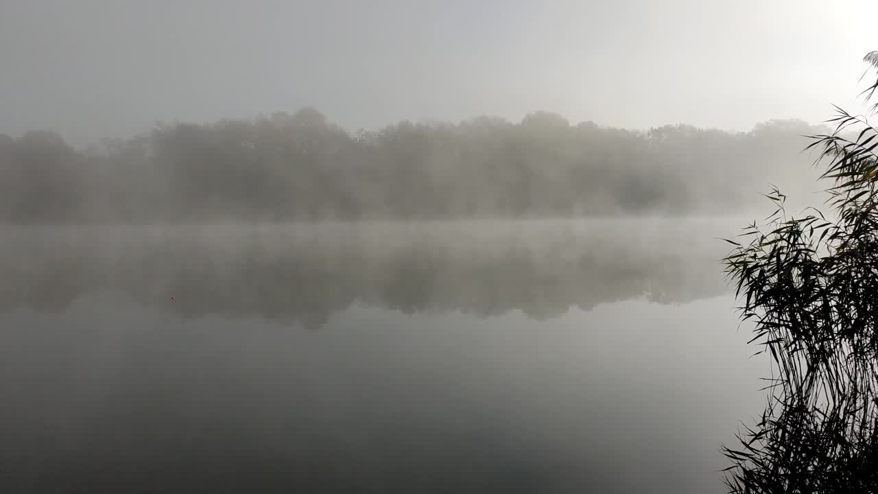 湖面上有雾，霜冻的早晨视频素材