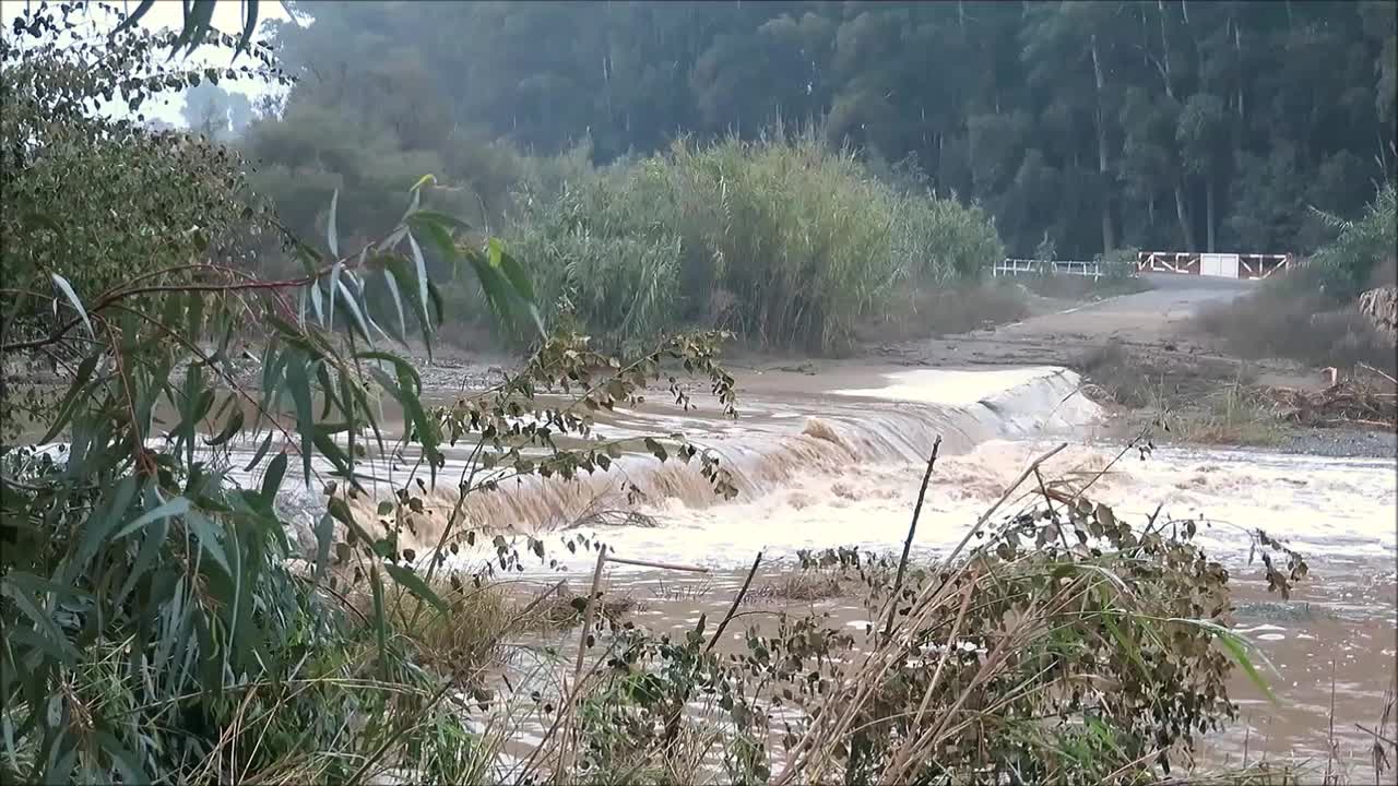 暴雨后湍急的河流视频素材