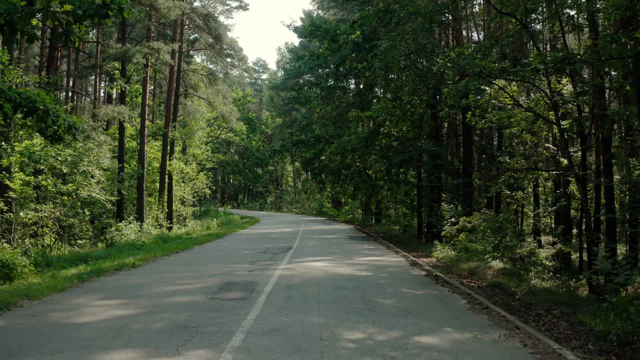 POV的观点，汽车上的道路通过松林。宽视图画面视频素材