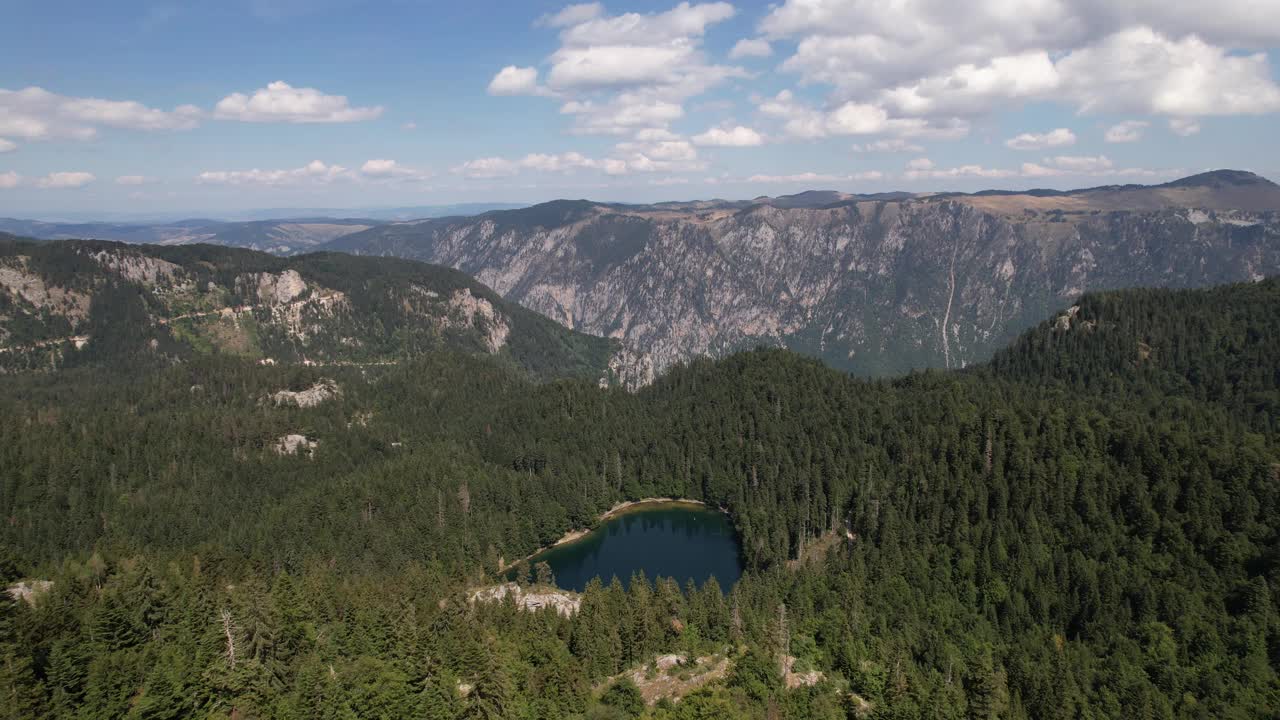 鸟瞰被茂密森林包围的高山湖泊。黑山共和国,欧洲视频素材