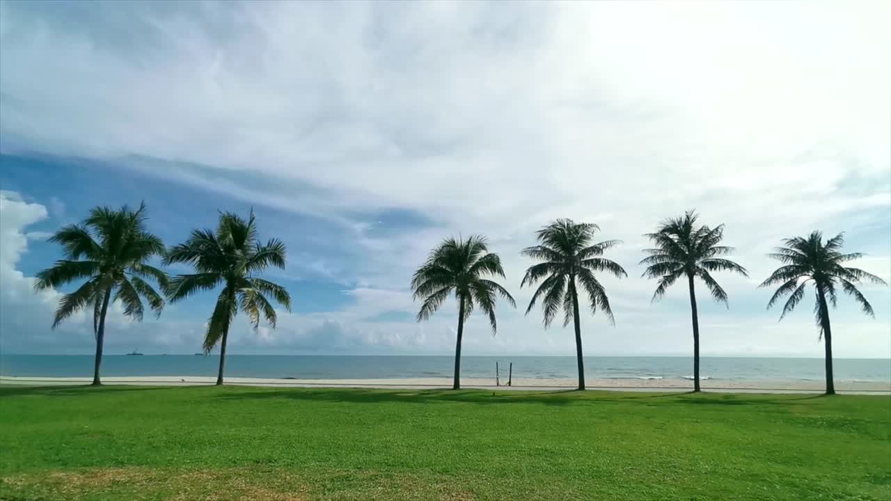 六棵大棕榈树在蓝色晴朗的天空股票视频视频素材