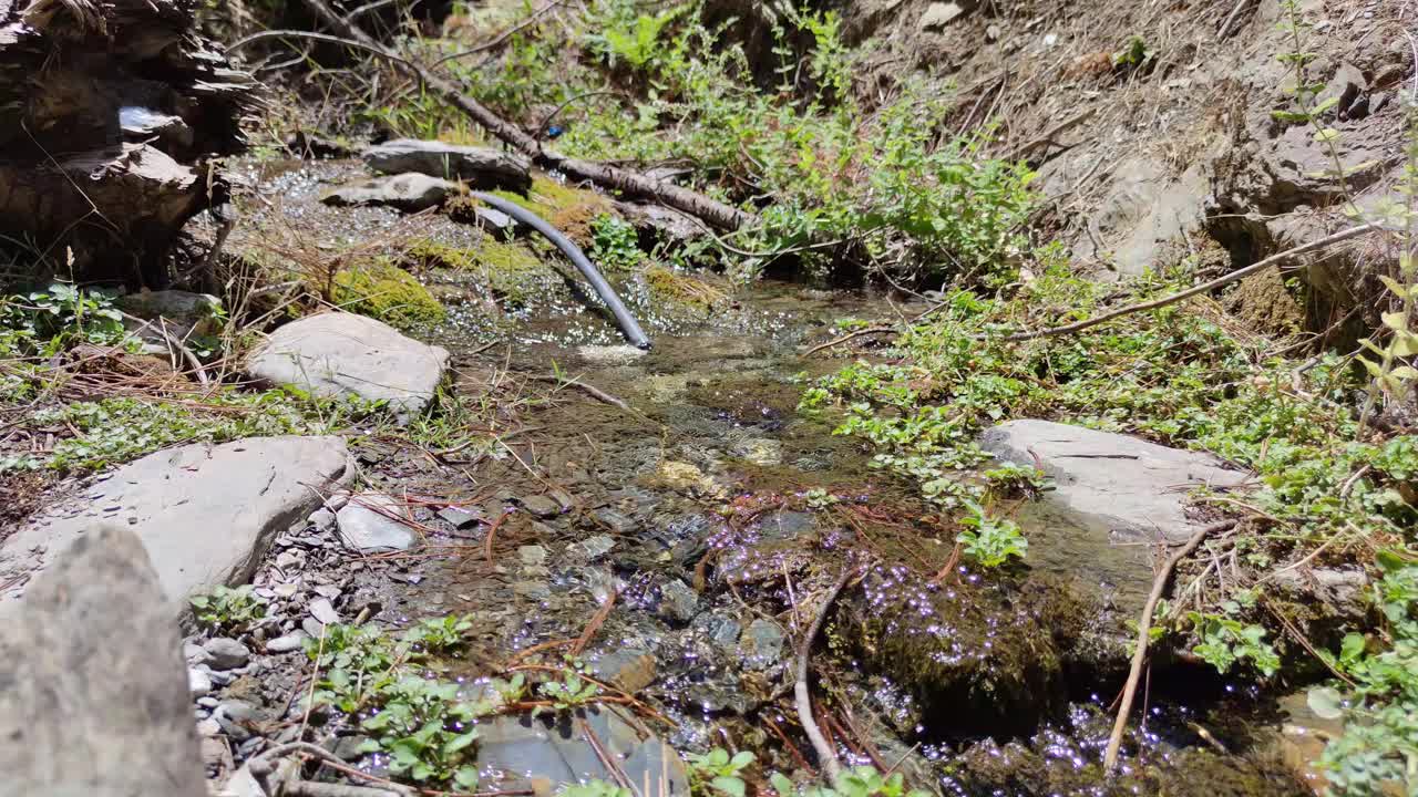 自然河流瀑布森林，水流过石头视频素材