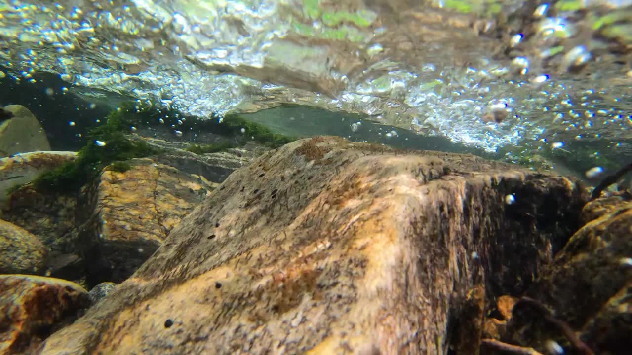 新鲜的山涧，冲冷干净的淡水，01视频素材