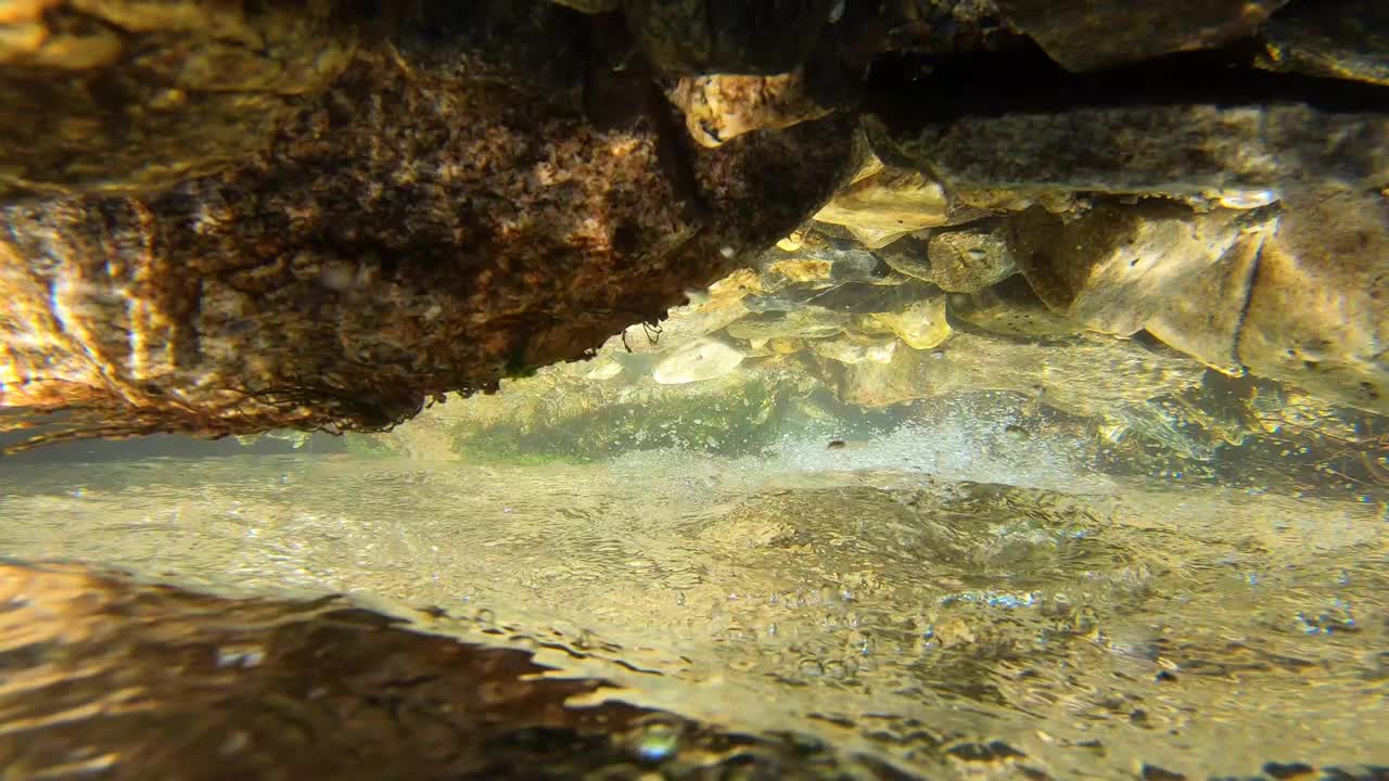 新鲜的山涧，冲冷干净的淡水，01视频素材