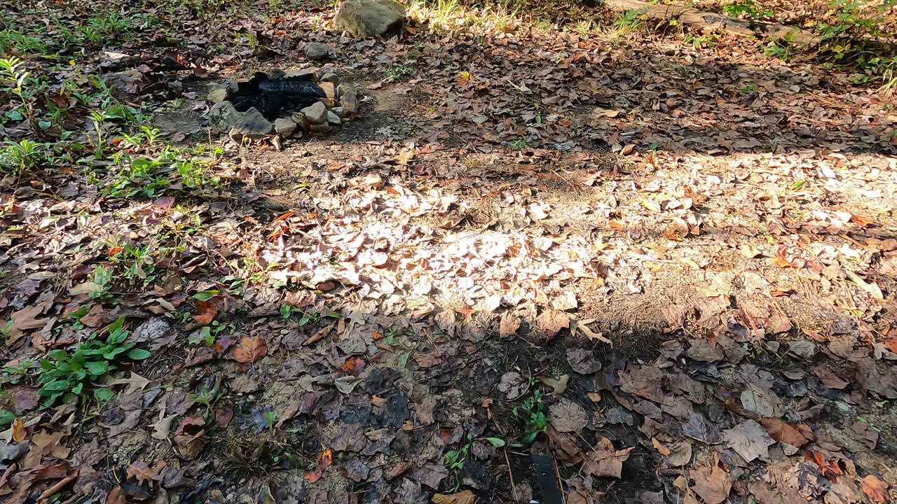 香肠和鸡蛋饼干在露营地附近的野营炉视频素材