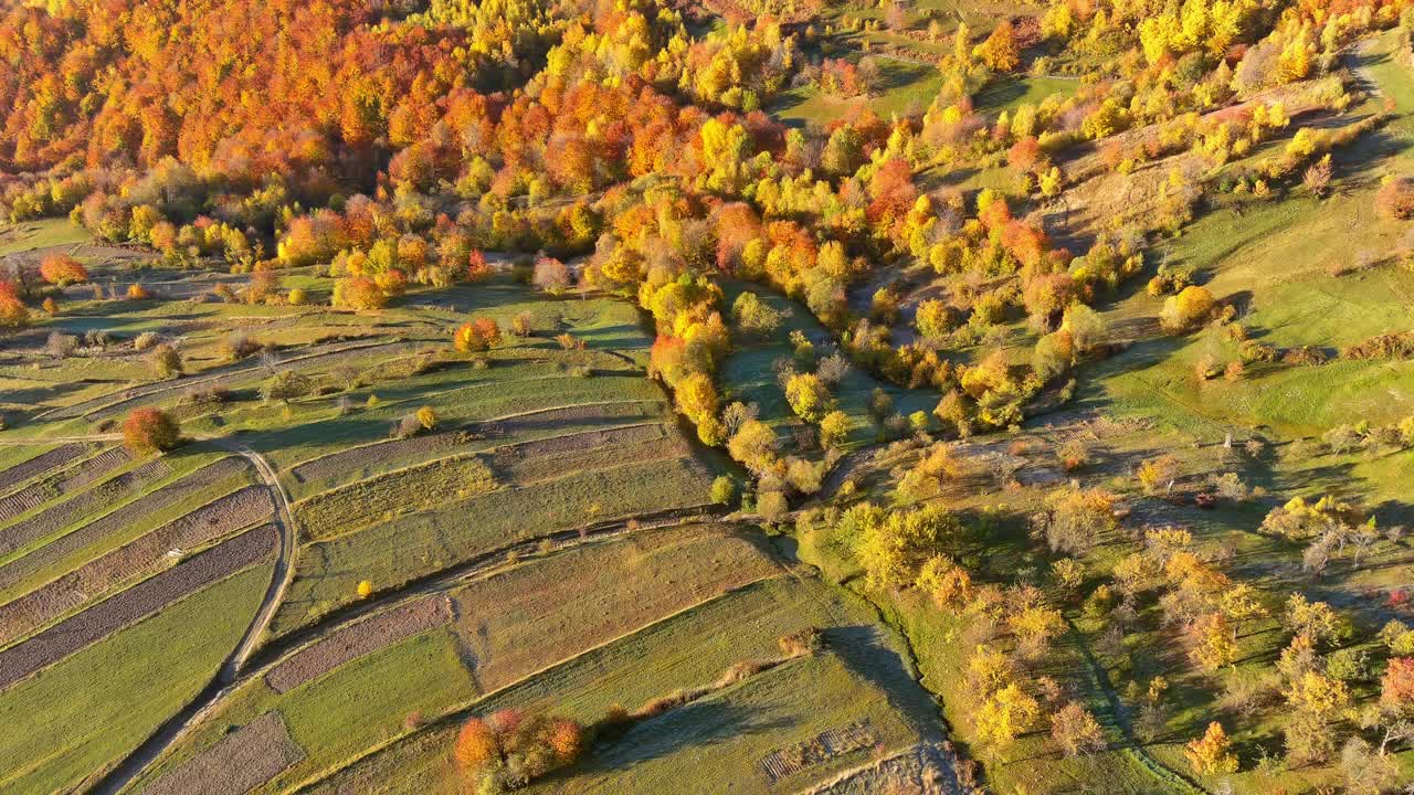 在风景如画的秋天草地森林山峰乡村全景视频素材