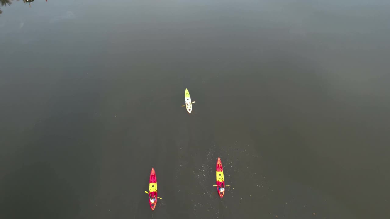 鸟瞰图的独木舟巡航通过河流和热带森林与日落天空的倒影在水视频素材