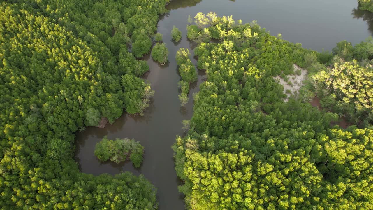 鸟瞰图的独木舟巡航通过河流和热带森林与日落天空的倒影在水视频素材