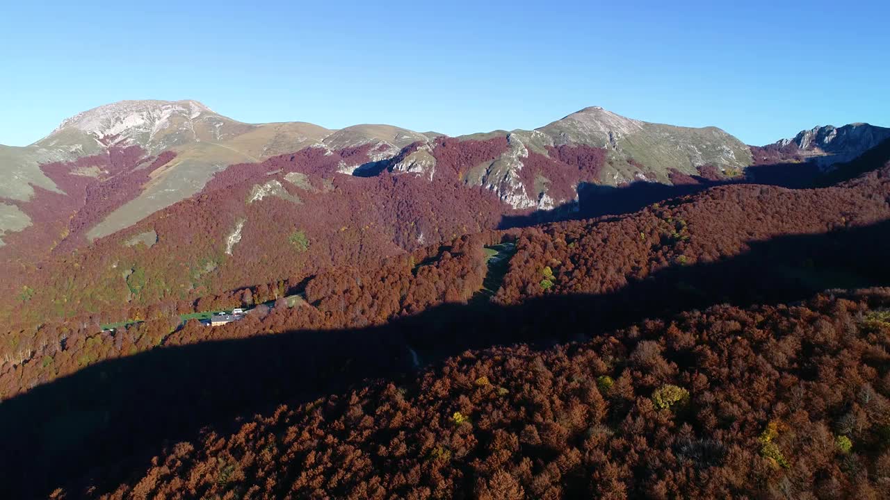 在意大利中部(拉齐奥地区)的蒙特特米里洛山毛榉森林上空的秋天航拍。视频素材