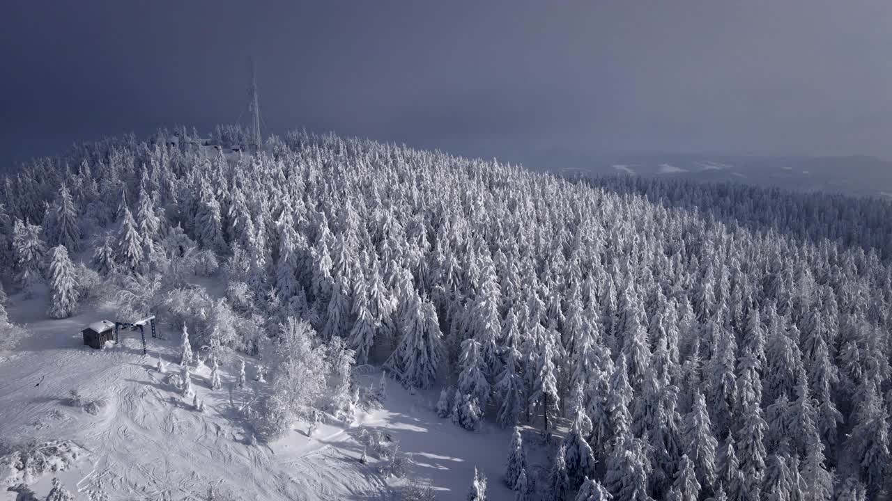 鸟瞰图的雪山森林在日落视频素材