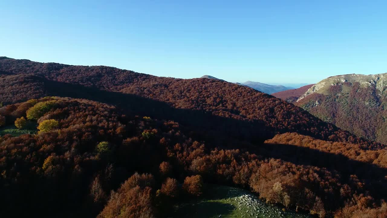 在意大利中部(拉齐奥地区)的蒙特特米里洛山毛榉森林上空的秋天航拍。视频素材