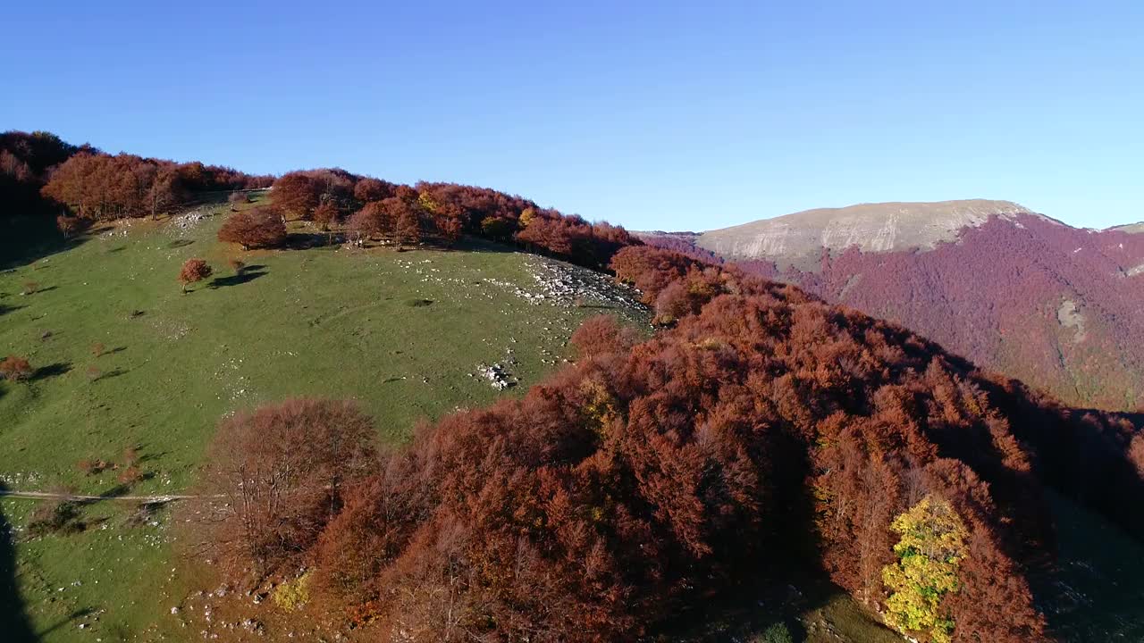 在意大利中部(拉齐奥地区)的蒙特特米里洛山毛榉森林上空的秋天航拍。视频素材