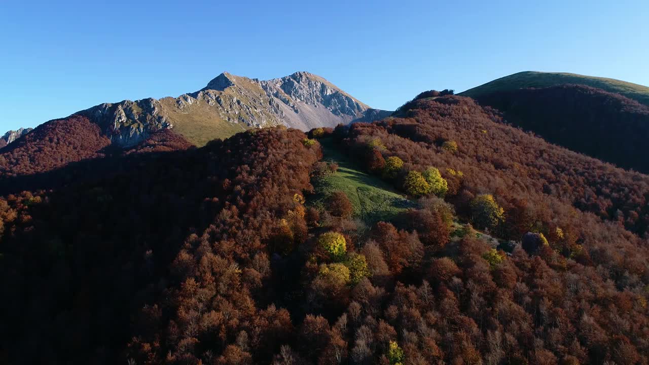 在意大利中部(拉齐奥地区)的蒙特特米里洛山毛榉森林上空的秋天航拍。视频素材