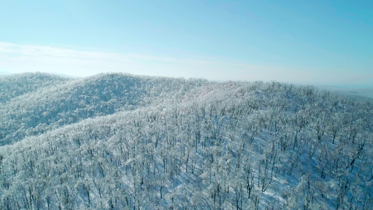 空中冬季山景的冰冻森林与雪和冰覆盖的树木在阳光明媚的冬天的一天。飞越冬季森林。镜头推进视频素材