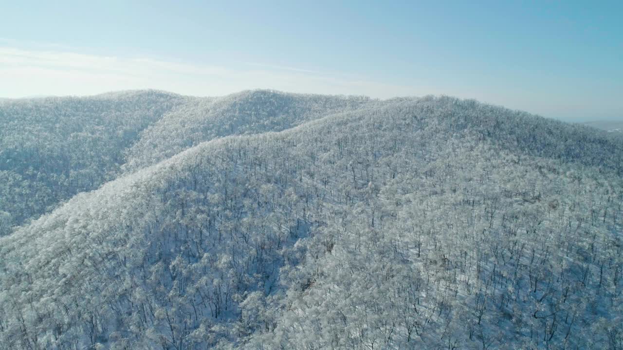 空中冬季山景的冰冻森林与雪和冰覆盖的树木在阳光明媚的冬天的一天。飞越冬季森林。相机移动轨道视频素材