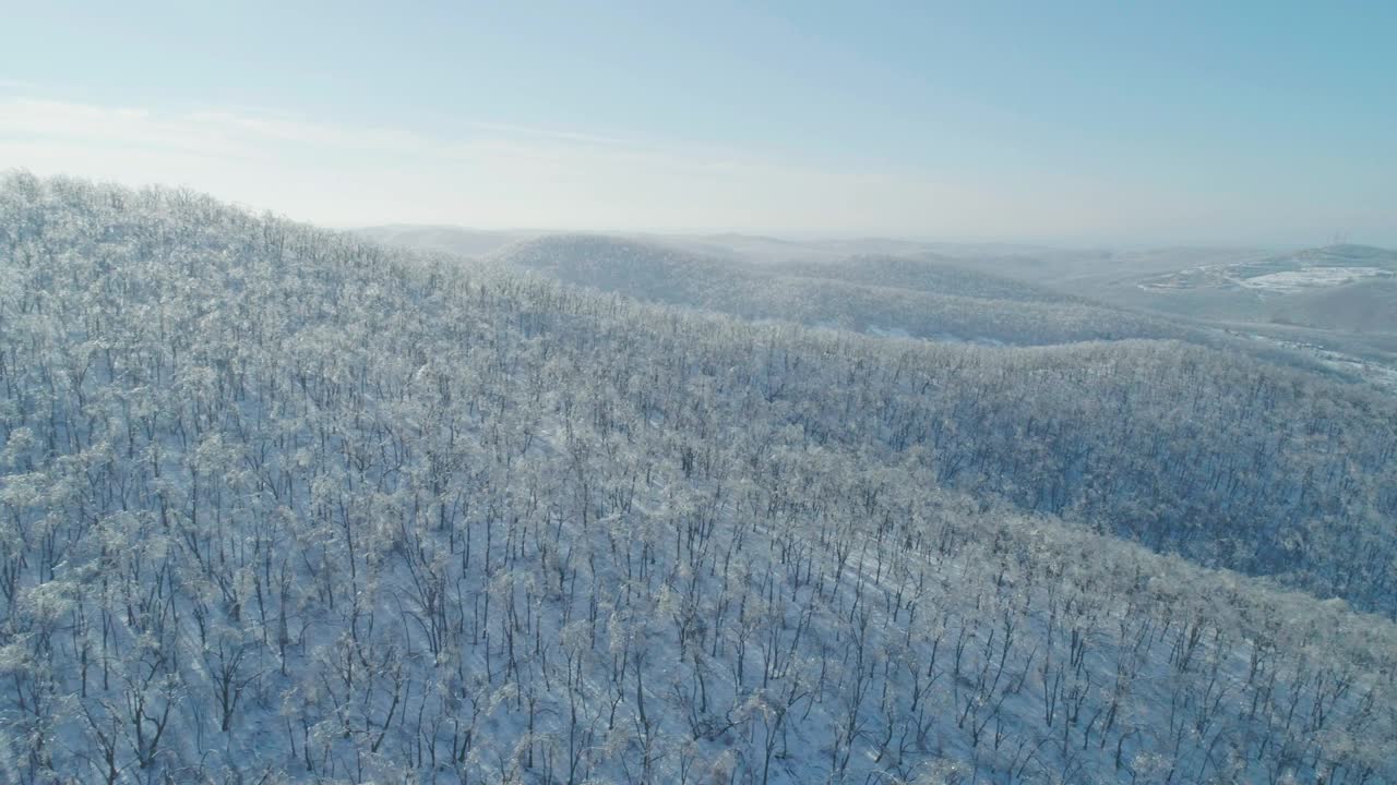 空中冬季山景的冰冻森林与雪和冰覆盖的树木在阳光明媚的冬天的一天。飞越冬季森林。相机移动对吧视频素材