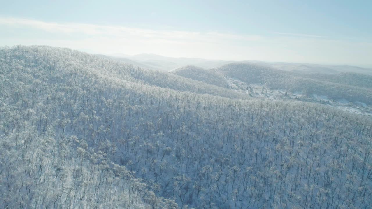 空中冬季山景的冰冻森林与雪和冰覆盖的树木在阳光明媚的冬天的一天。飞越冬季森林。相机移动轨道视频素材