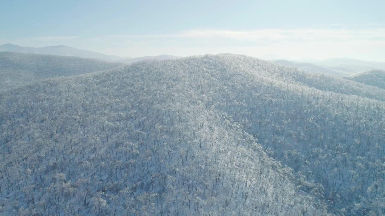 空中冬季山景的冰冻森林与雪和冰覆盖的树木在阳光明媚的冬天的一天。飞越冬季森林。相机移动离开视频素材