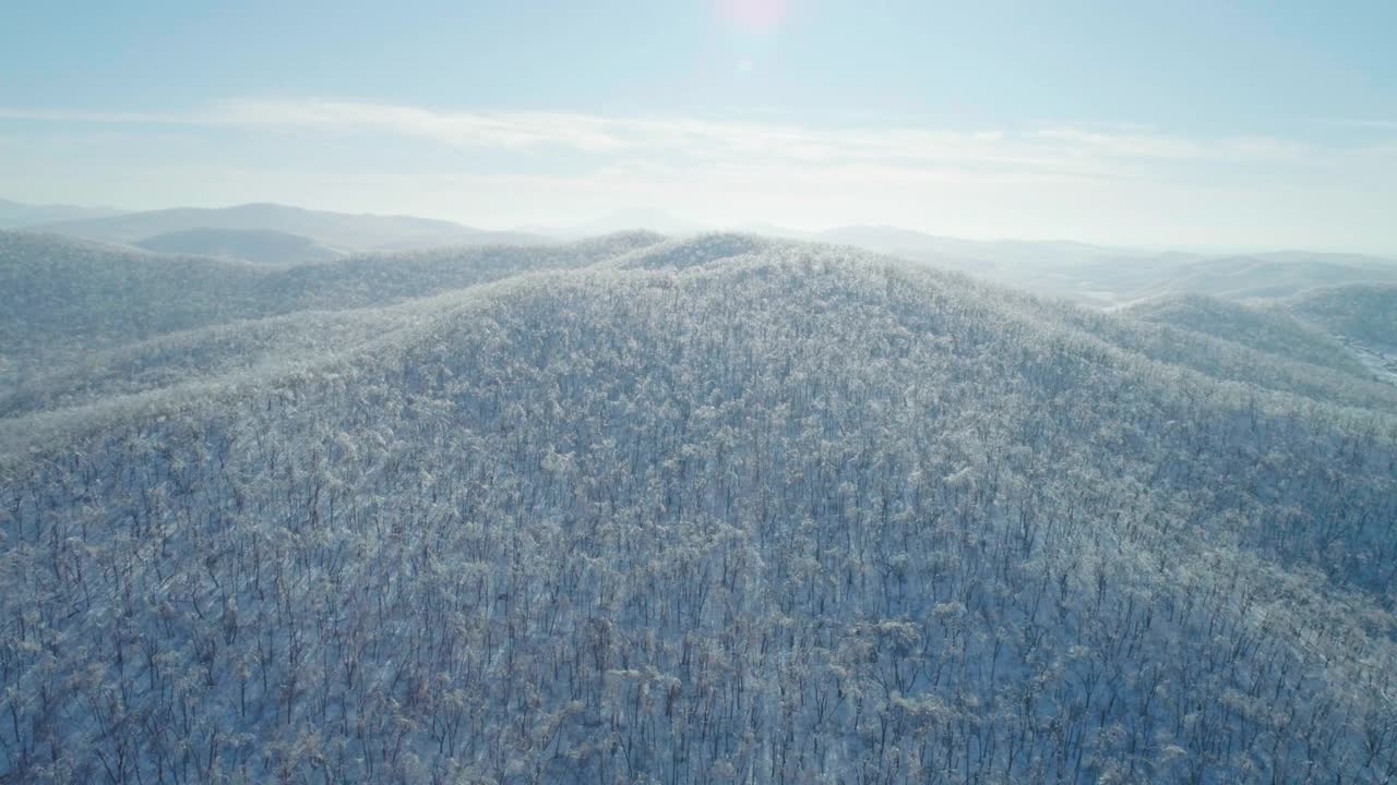 空中冬季山景的冰冻森林与雪和冰覆盖的树木在阳光明媚的冬天的一天。飞越冬季森林。相机移动离开视频素材