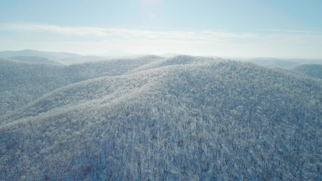 空中冬季山景的冰冻森林与雪和冰覆盖的树木在阳光明媚的冬天的一天。飞越冬季森林。相机移动离开视频素材