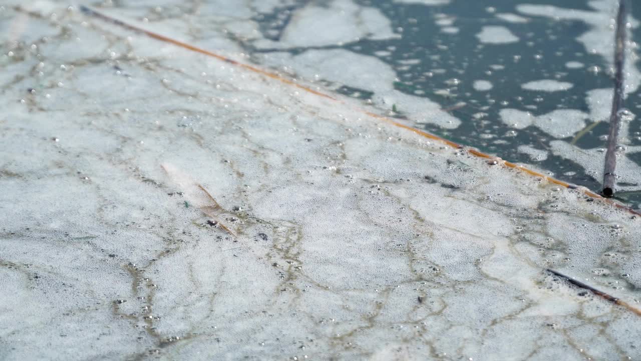 特写的泡沫漂浮在水面上的河流，生态和环境污染的水的概念视频素材