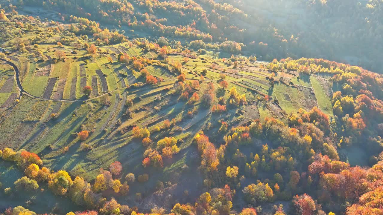 清晨俯瞰秋天的高山视频素材