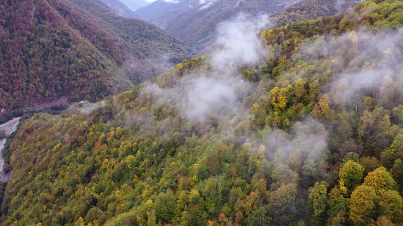 秋天的森林在雾山视频素材