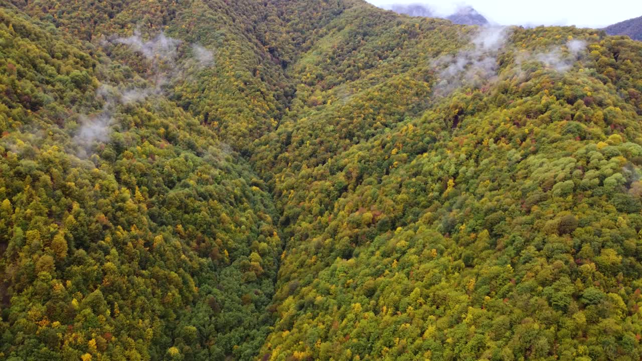 秋天在有雾的山谷里视频素材