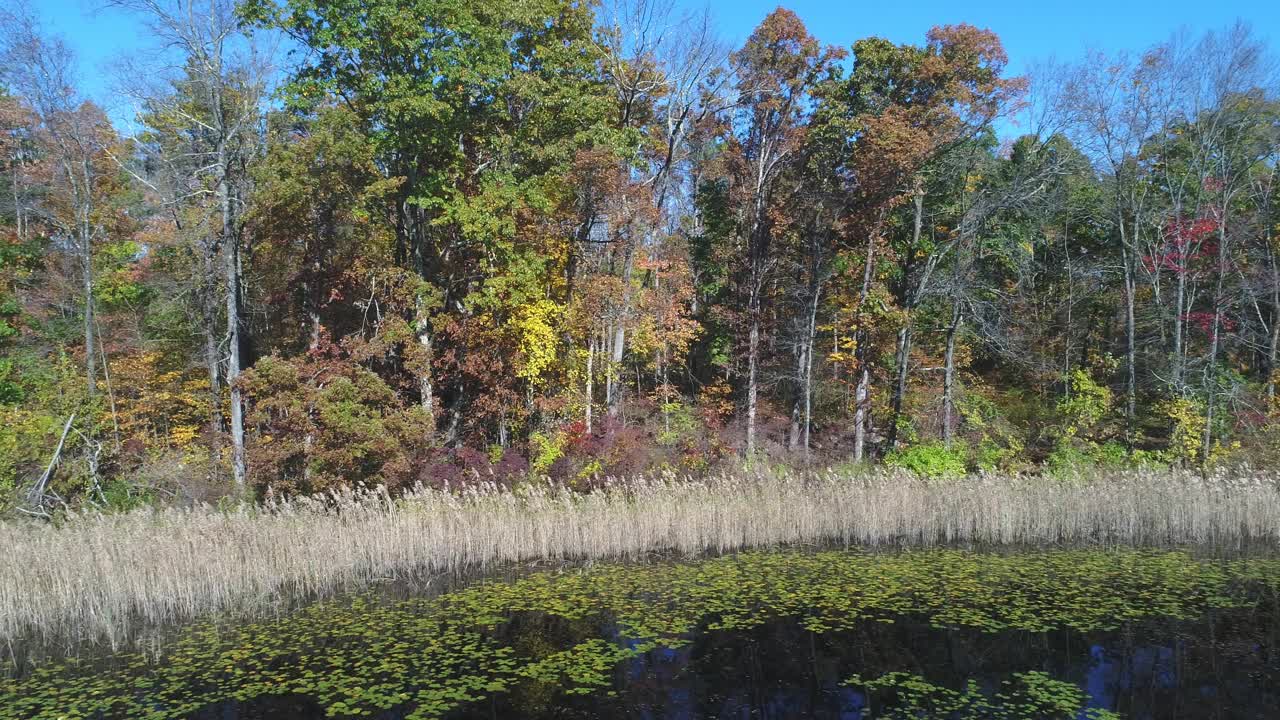 风景秀丽的秋湖飞低滨景视频素材