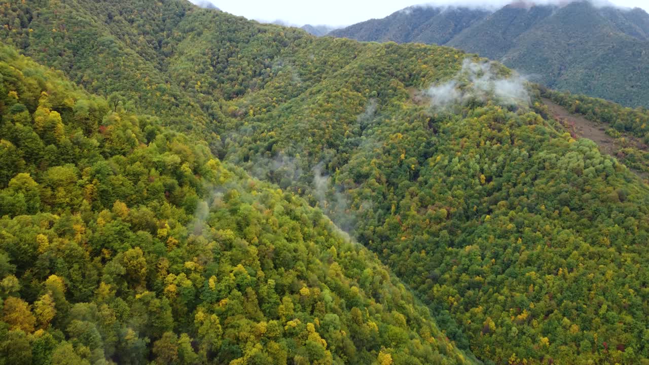 多雾多雨的秋季山地森林视频素材