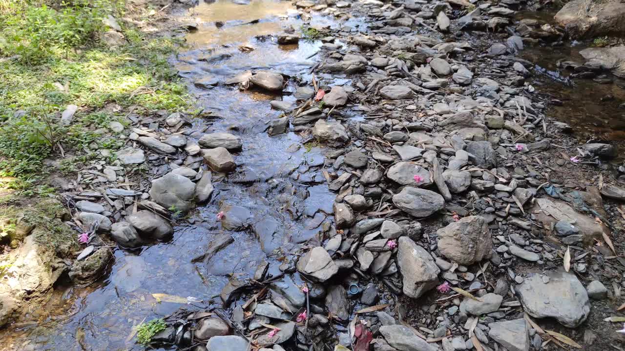 自然河流瀑布森林，水流过石头视频素材